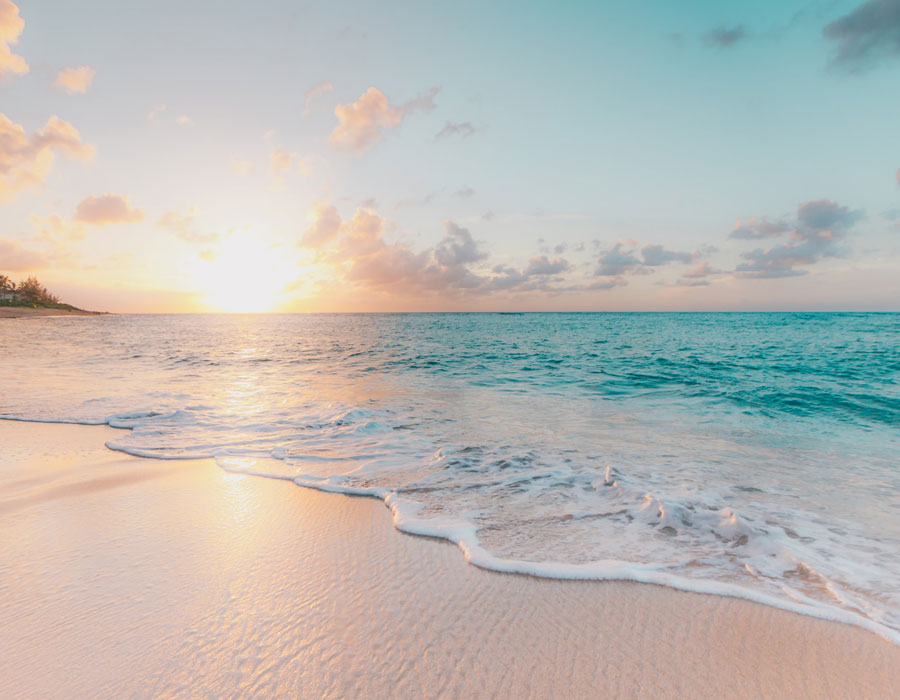 Our Shortlet Preview Video